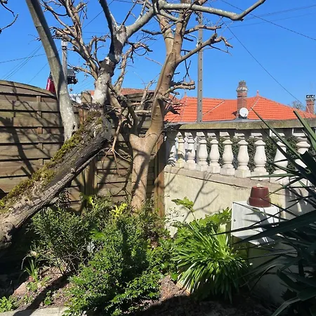 Maison Volets Bleus - Jusqu'à 9 Personnes - 3 - Centre Arcachon